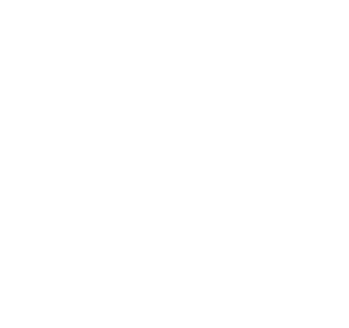 Kino Bize